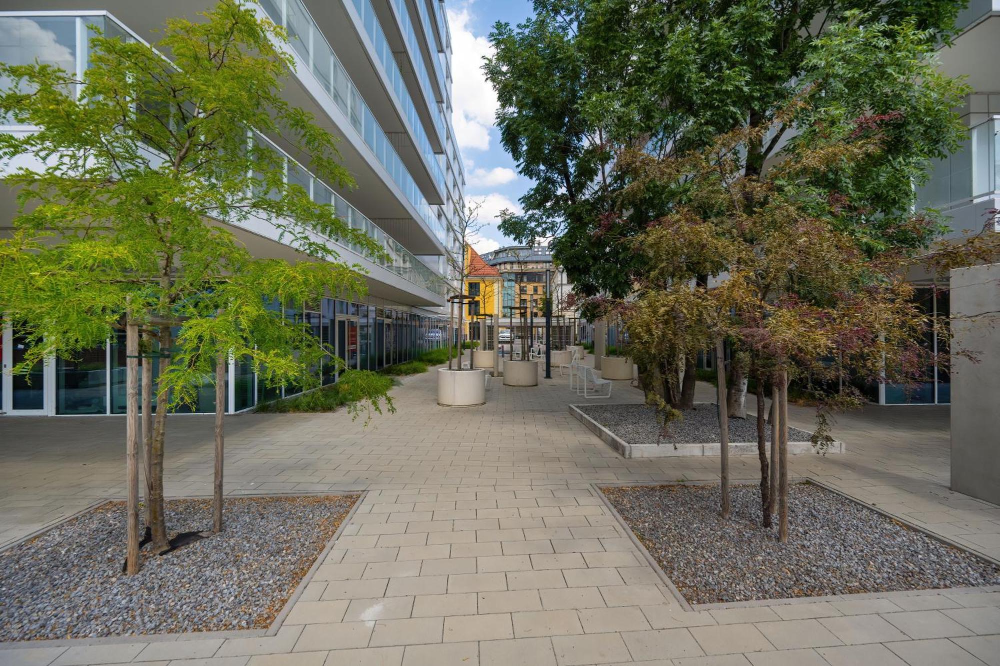 Elegancki Apartament Z Parkingiem Blisko Starego Miasta By Noclegi Renters Wrocław Exterior foto